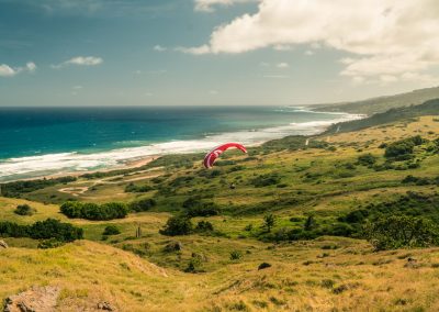 skywalk paragliders - TONIC - Barbados soaring