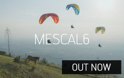 MESCAL6 with AGILITY SYSTEM – Out now!